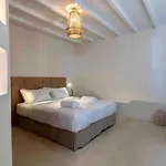 The Blue Diamond 别墅 Mykonos Town